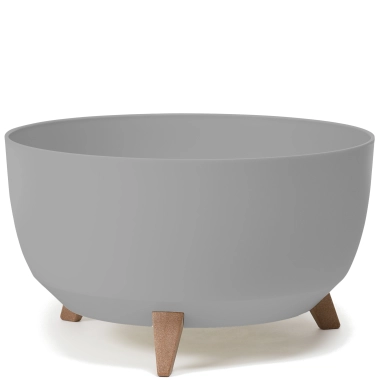 Roma misa 470